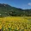 長山尾燈塔