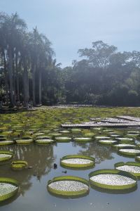M47432**** 中航翔通遊艇會飯店（青島奧帆中心五四廣場店）優惠