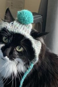 _ZFB484869**** 新宿苑溫泉日式旅館優惠