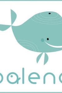 🌊Baleno🐳 薩萊切宜必思經濟酒店優惠