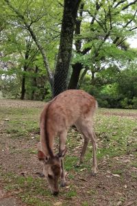 Axiba—ka 56新房酒店（海口萬國大都會店）優惠