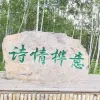 Avatar 1