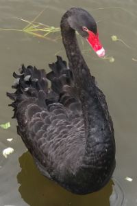 Liunianle ホテルコルディア大阪本町 クーポン