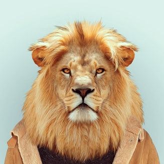 user-avatar