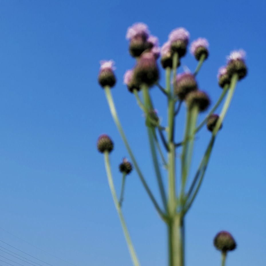 head-img