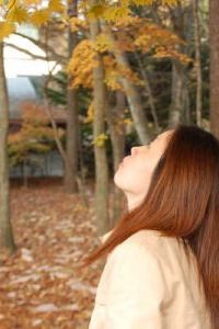 Linyongqin 東急名古屋大酒店優惠