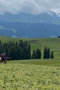 lxydesj 大理洱海之境花園海景酒店優惠