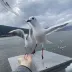 快乐小宁爱旅游