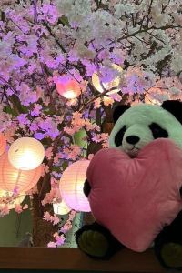 Leledaiwang 台南來點子站前旅店優惠