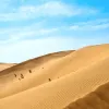 Avatar 2