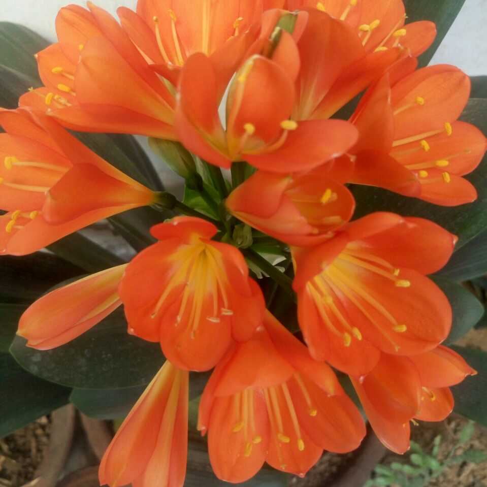 user-avatar
