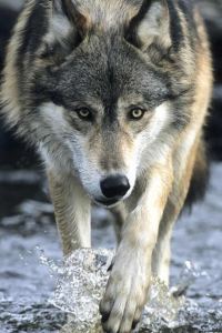 Jinmingdi Caverna Premium洞穴飯店優惠