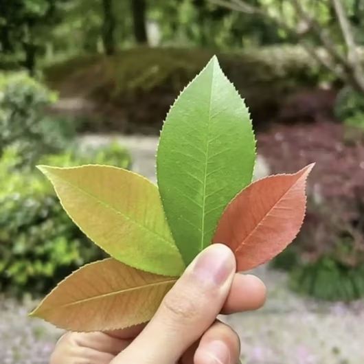 user-avatar