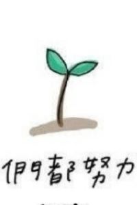 LB1991029 洛伊斯皇家太平洋度假飯店優惠
