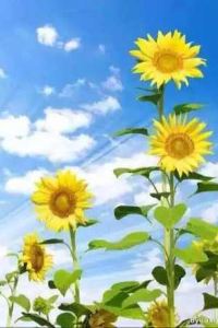 Yuanyaozu 漢庭飯店（福州三坊七巷東街口地鐵站店）優惠