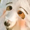 Avatar 1