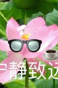 DabenXheng 淺草燦路都大飯店優惠