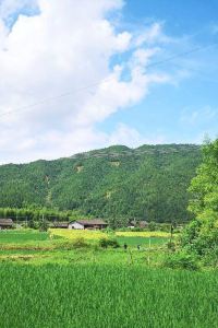 訪客用戶 漢庭優佳飯店（北京首都機場店）優惠
