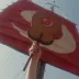 花弄影xu