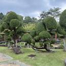 Chuxiadexingfushiguang