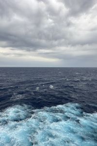 VaneneQ 京都東急飯店優惠