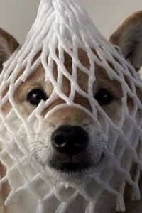 M492194**** 瀘沽湖青山青旅優惠