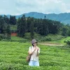 Avatar 1