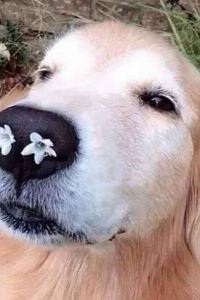 YouZii1121 速8飯店（上海浦東機場晨陽路店）優惠