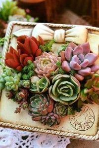 M34135**** 八里福朋喜來登飯店優惠