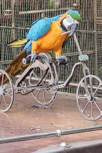 M369072**** 7天優品飯店（廈門中山路步行街店）優惠