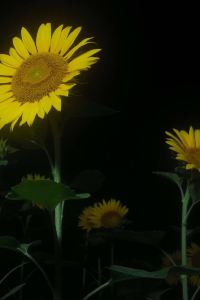 M513847**** 住一心齋橋2號店優惠