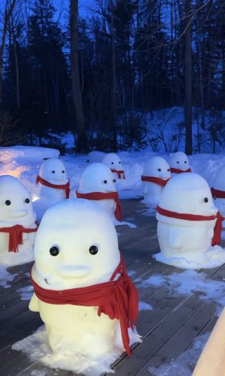 Unwinding at Changbai Mountain Lanjing Julong Hot Springs Spa: An Unforgettable Experience in Jilin