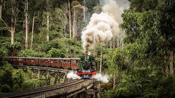 Family Adventure at Puffing Billy Railway: A Charming Sightseeing Experience in Dandenong Ranges