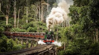 Family Adventure at Puffing Billy Railway: A Charming Sightseeing Experience in Dandenong Ranges