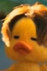 Chaojiwudiyuzhoudiyishuai. 萊西華璽大飯店優惠