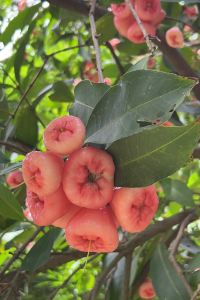 GUAN~ 開平伊士高酒店優惠