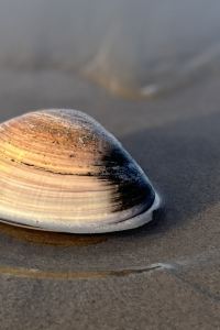 M469622**** スーパーホテル京都・四条河原町　天然温泉「御所の湯」 クーポン