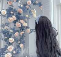 麦芽茶