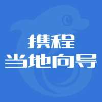 强龙旅游公司