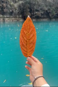 Xiaominghedabao 福隆賓館優惠