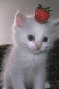 M890650**** 西湖蜜隱禪和源飯店優惠