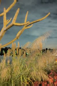 FanYuMing 利寶西卡朗蘇黎快捷飯店優惠