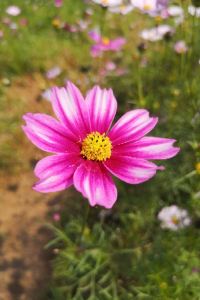 M417585**** 文華國際酒店公寓（廣州北京路步行街店）優惠