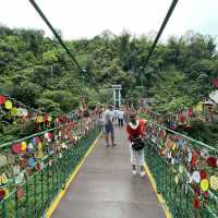 Primeval Forest Park - Xishuangbanna 