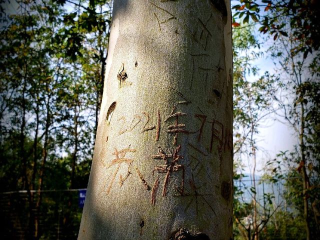 Yunti Mountain ⛰ | Stairway to Paradise!