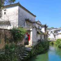鲜花小镇：黄山屏山村