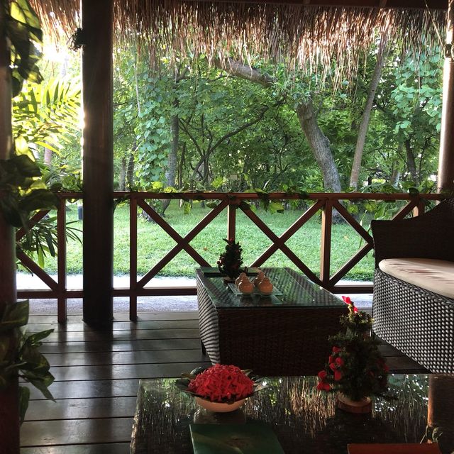 The amazing Fihalhohi Resort 🏝 