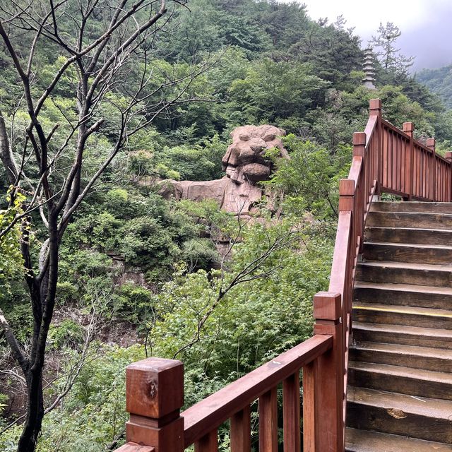 Hiking in Qingdao 