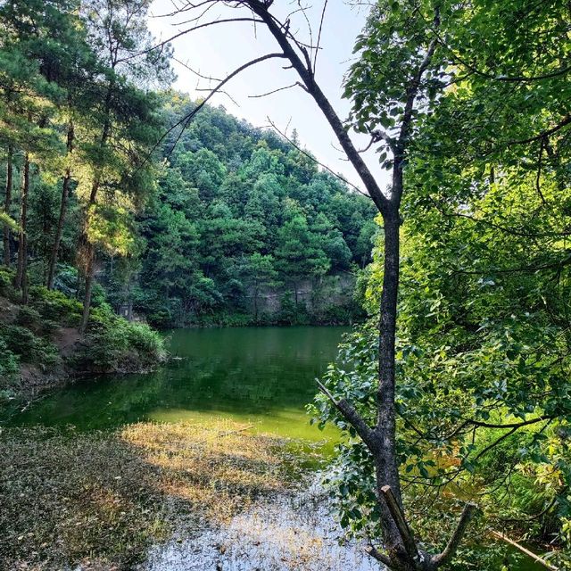 Nanshan scenic area 🇨🇳 Chongqing 