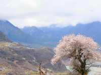 雅魯藏布江索松村